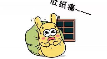 吃瓜群众来相见,吃瓜群众视角下的相遇瞬间