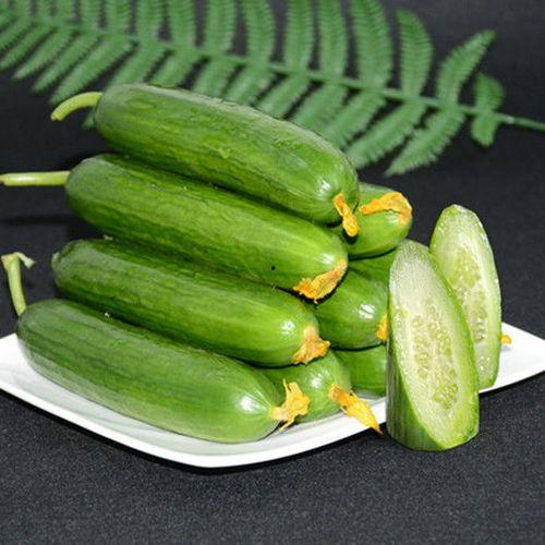 小能手爆料吃瓜,娱乐圈最新吃瓜大揭秘！