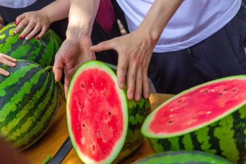 河北保定学院吃瓜