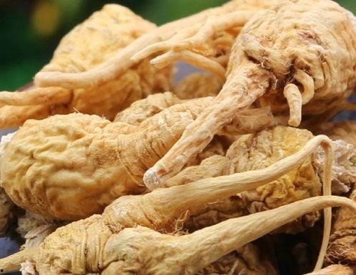 玛卡巴卡 吃瓜,揭秘瓜界奇闻轶事