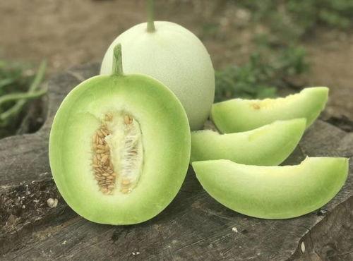 51吃瓜官网今日吃瓜蘑菇