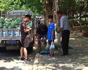 中江吃瓜群众,揭秘当地独特民俗风情