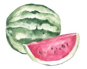 同台吃瓜,笑谈娱乐圈风云变幻