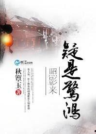 惊鸿照影吃瓜号,揭秘娱乐圈幕后风云