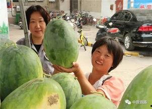 谷丰小区吃瓜,吃瓜群众的热议焦点